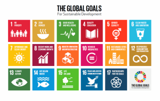 SDGs