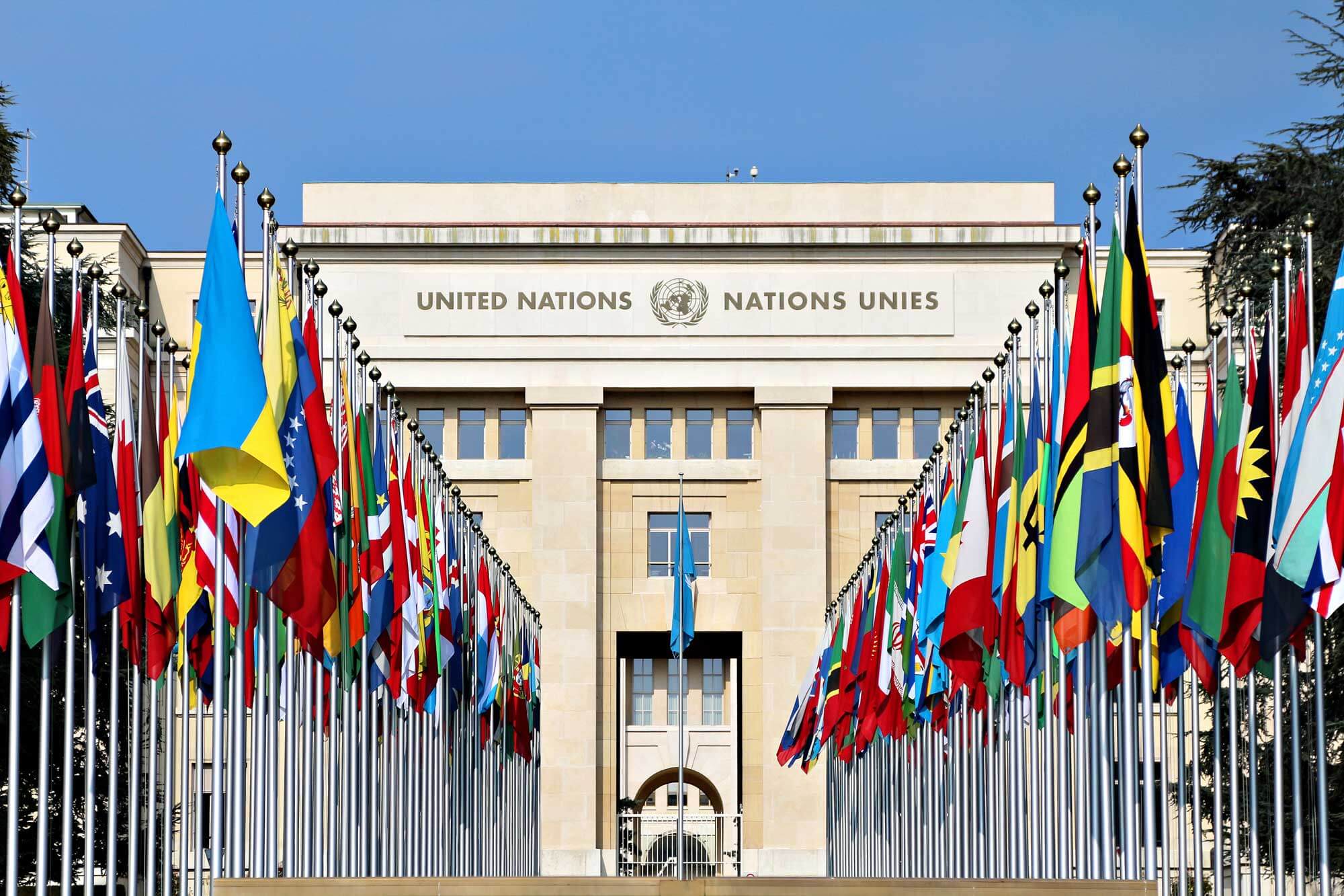 UN Entry Points