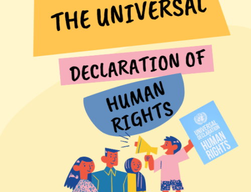 Survey for children on the Universal Declaration of Human Rights